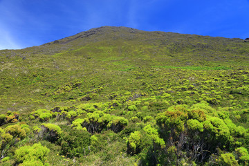 Obraz premium Pico volcano (2351m), Pico Island, Azores, Portugal, Europe