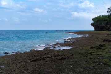 Obraz premium beautiful sea shore in zanzibar