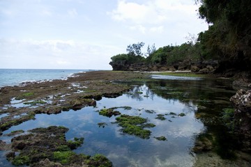 beautiful sea shore in zanzibar