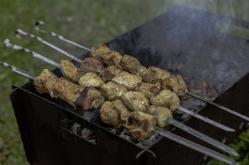 shish kebab, meat, fried, charcoal, outdoor, rest, brazier, skewer