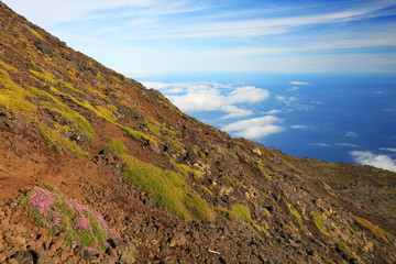 Fototapeta na wymiar Old Lava on Pico volcano (2351m), Pico Island, Azores, Portugal, Europe
