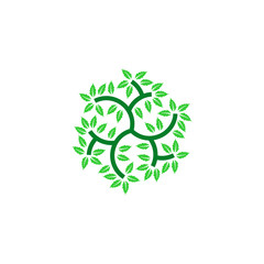 leaf vector logo