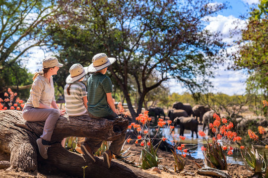 Family safari