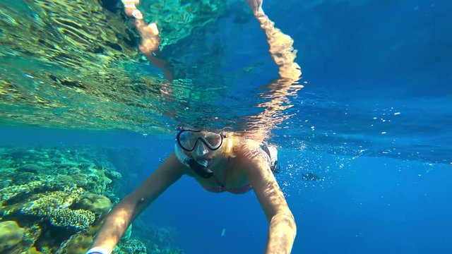 Woman is engaged in snorkeling. Red sea. Egypt Sharm el Sheikh. Active lifestyle. Sport.
