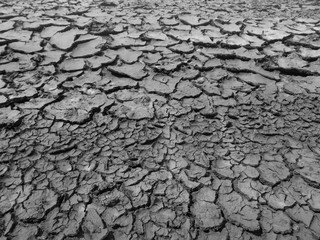 Cracked earth close up macro texture