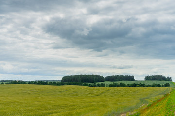 Fototapeta premium chmury i pola