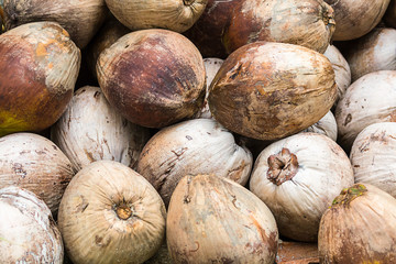 onion turnip whole white tuber close-up background vegetable pattern