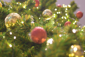 Obraz na płótnie Canvas Christmas celebration decoration season on the tree background.