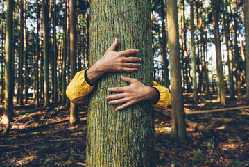 Naklejka premium Mężczyzna przytulanie kory drzewa