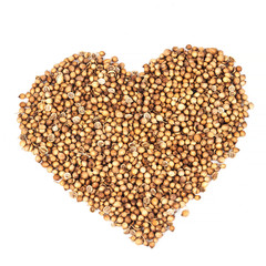 Heart shape of organic dried coriander seeds (Coriandrum