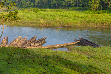 Boats of Rapti River in the  Royal Chitwan National Park, Nepal