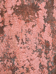 Texture of peeling paint on a rusty iron surface. Grunge background, close-up. The faded and burnt red paint exfoliates from the surface, craquelure