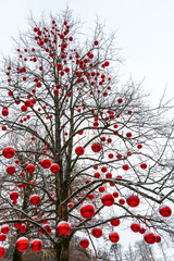 Baum voller roter Kugeln, verschneit, Weihnachtsmarkt in Salzburg