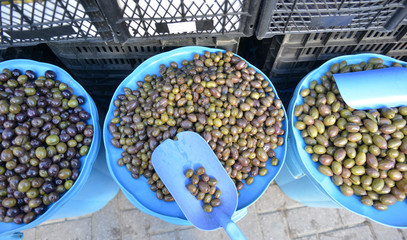 Barrels of olives for sale