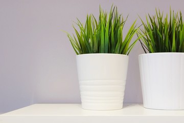 Green Artificial Plants in White Porcelain Pots