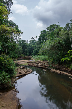 Landscape with tropical river flowing peacefully through lush rain forest of Nigeria, Africa