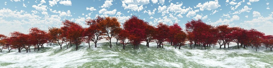 autumn trees on a snow hill
