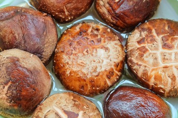 Fresh Shiitake Mushrooms or Lentinula Edodes Mushrooms