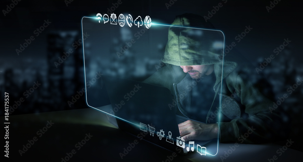 Aufkleber Hacker accessing to personal data information with a computer 3D rendering