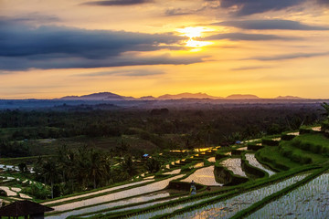 View to the Jatiluwih rice terraces at sunrise on Bali island, Indonesia