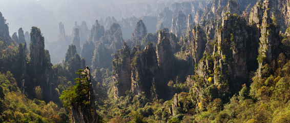 Zhangjiajie National Forest Park. Gigantic pillar mountains rising from the canyon. Hunan province, China