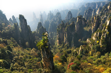 Zhangjiajie Forest Park. Gigantic pillar mountains rising from the canyon. Tianzi Mountain. Hunan province, China