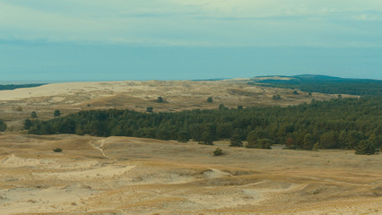 Fototapeta na wymiar Curonian Spit reserve dunes