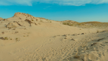 Curonian Spit reserve dunes