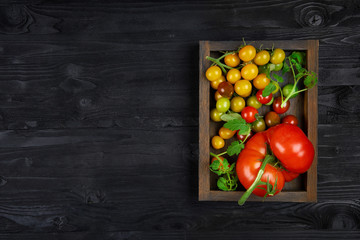 Organic tomatoes of different varieties and colors in a wooden box and black texture background