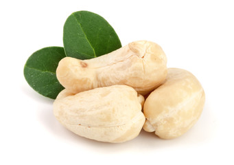 cashew nuts with leaf isolated on white background. macro