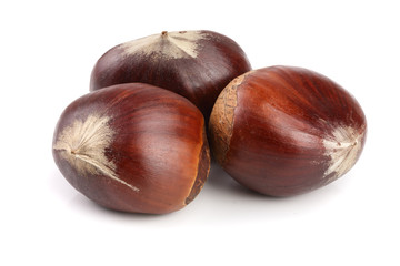 fresh edible chestnut isolated on white background