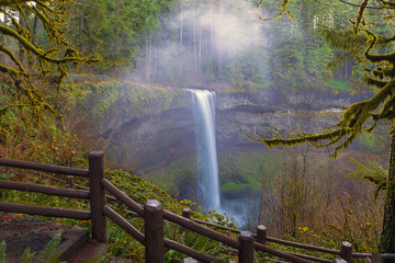 Fototapeta premium Hiking Trails at Silver Falls State Park in Oregon USA America
