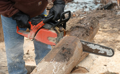 Cutting through a log with a chainsaw 1