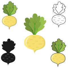 Turnip icon of different in flat style, isolated on white background.