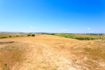 Obraz premium Tuscany hills landscape, Italy