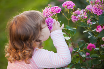 Naklejka premium Adorable little girl smelling garden roses.