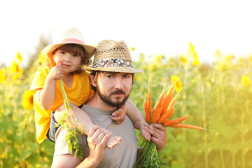 Father and daughter on a family farm with harvest of carrot.