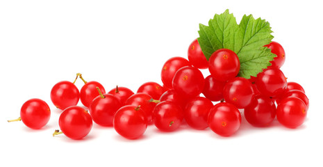 Red berries of Viburnum (arrow wood) with green leaf isolated on white background