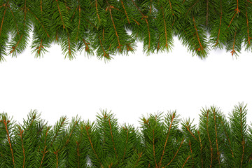 Christmas background. Top view with copy space. fir tree with cone isolated on white background