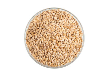 Barley seeds in a bowl islated on white background