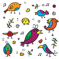 Exotic warblers and song bird with colorful plumage on a white background vector