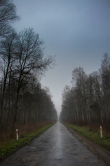 asphalt road hole leading through gray misty forest