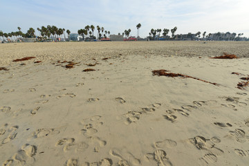 Venice beach in California