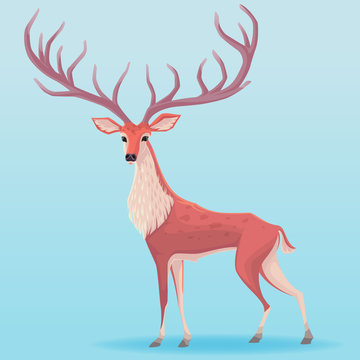 Vector deer illustration