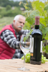 wine bottle glass and red grape on wineyard