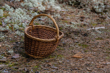 Fototapeta na wymiar wooden woven basket in front of forest heather