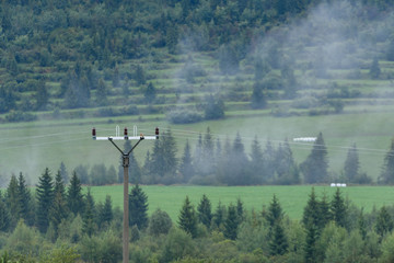 Obraz premium panoramic view of misty forest in mountain area with electricity poles and bird hawk