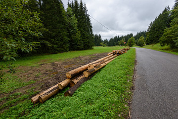 A big pile of wood in a forest road