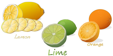 Citrus fruit. Orange, lemon, lime. Isolated on white background.