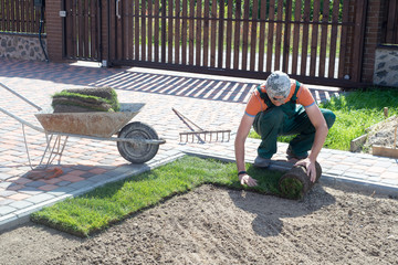 Landscape Gardener Laying Turf For New Lawn